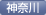 神奈川支部